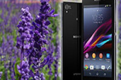 真相机画质！DCFeverXSonyXperiaZ1手机在旅途上摄影体验会报名展开