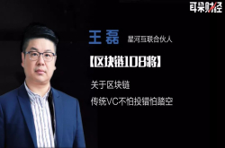 对话星河互联王磊：关于区块链传统VC不怕投错怕踏空