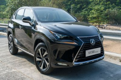 238 匹力量充沛：Lexus NX300 Ultimate 改名不换姓？