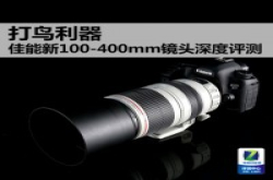 打鸟利器Canon新100-400mm镜头深度评测