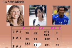 蓝色龙虾为什么这么稀缺？每200万只中仅有1只 市场有价无市