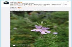 认真的小米总裁林斌 小米8青春版背景虚化已经很给力了