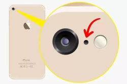 15个冷知识 跟别人炫耀时 你可以说略懂略懂......