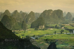 嗯 烧鸭粉节能大赛
