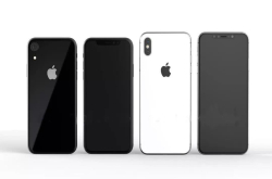 苹果提前报备新iPhone 型号多达11款