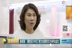 又一巨头驻足芯片 董明珠500亿芯片计划遭质疑