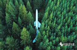 人类真的是地球统治者？仅占生物总量0.01％的人类 却让地球尸骨如山