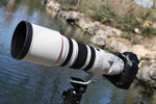 表现力出众CanonEF200-400mmf/4L特惠