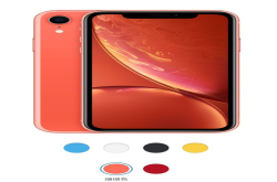 为啥这么多人想买廉价iPhoneXR？