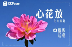 “心花放”花卉展览摄影活动接受报名！