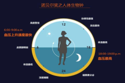诺贝尔奖获得者告诉你什么是生物钟 扰乱生物钟的后果有多可怕？