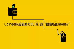 Coingeek或能助力BCH打造最隐私的money