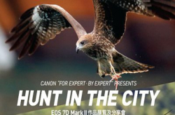 来自高空的天生猎手！《HuntintheCity》香港麻鹰生态摄影展