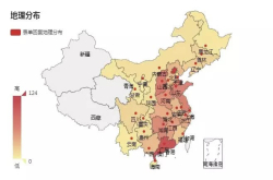 一线盛产剁手族 最重养生的竟是二三线城市