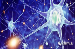 艾滋病毒还有更多危害？科学家：可能长期潜伏在大脑中攻击人体