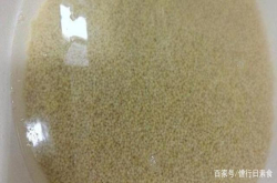 小米这样做、小朋友超喜欢、好吃营养不上火哟