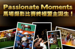 PassionateMoments马场摄影比赛终极盟主诞生