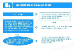 上市21年的露露凉了：受困山寨危机 已沦为资本工具？