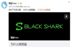 黑鲨吴世敏：努力为中国玩家做点事情