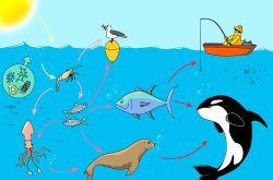 深海世界的生物长什么样？个个面目狰狞 一眼看过去十分可怕