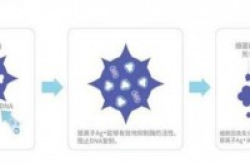 富士胶片推出HydroAg？银离子手机抗菌保护膜