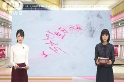 日本著名景点遭喷简体字“生日快乐”作拍照留念，遭网民痛骂“可耻”