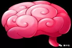 英伟达用GAN生成脑瘤图像 训练出的AI医生 准确率提高16％