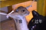 科技乱谈琴：任天堂VSSony穷有穷的玩法