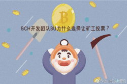 BCH开发团队BU为什么选择让矿工投票？