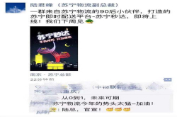 又一家即时配送平台双11亮相苏宁物流能否抢占第三极