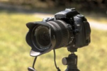 苦斗四年：Nikon、Sigma终于和解了