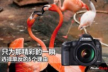 只为那精彩的一瞬选择单反的5个理由