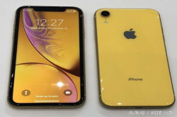 iPhoneXR清水壳正式上架 价格感人 网友：再见