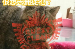发现猎物！MonsterHunter4G相机App“芒亨”迷必装！