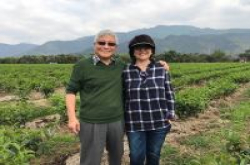 特派专栏旅美台湾茶叶大使向全球推农创科技