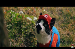 “猫利欧”和路易的拯救公主大冒险