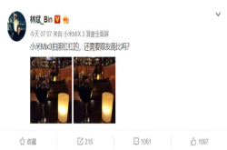 观感不俗 小米林斌曝光新旗舰拍照样张 暗示不虚友商