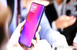 oppoFindX国行版发布 比海外版便宜3000元 网友：极度奢华 良心价