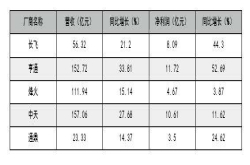 光纤厂商财报亮眼内需和出海成两架马车