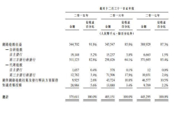 创始团队回归救主 第七大道的上市故事如何续写？