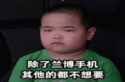 没抢到的网友表示不服 OPPOFindX兰博基尼版为何人人都爱？