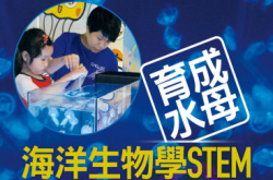 育成水母海洋生物学STEM（中）
