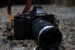 高端专业无反OlympusE-M5仅售4599元