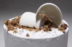 摄影师有破坏无建设！为求佳作无所不用其极