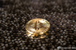 以比特币现金BCH为核心的慈善经济体系革新业态