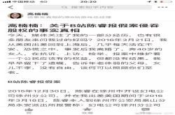 对话高楠楠：B站陈睿曾报假案陷害我收回股票对我不公