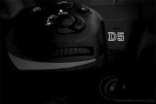 NikonD5更多细节曝光或1月12日发