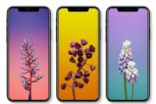 iPhoneXCPU内存镜头都在这了！大怪兽