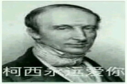 苦瓜数学家柯西的故事及柯西中值定理