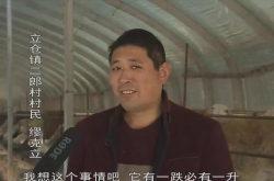 靠养羊发家致富 实现年20万的梦想